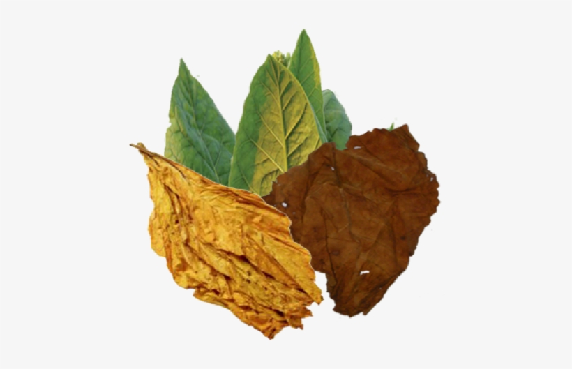 Tobacco Blend Png, transparent png #1639370