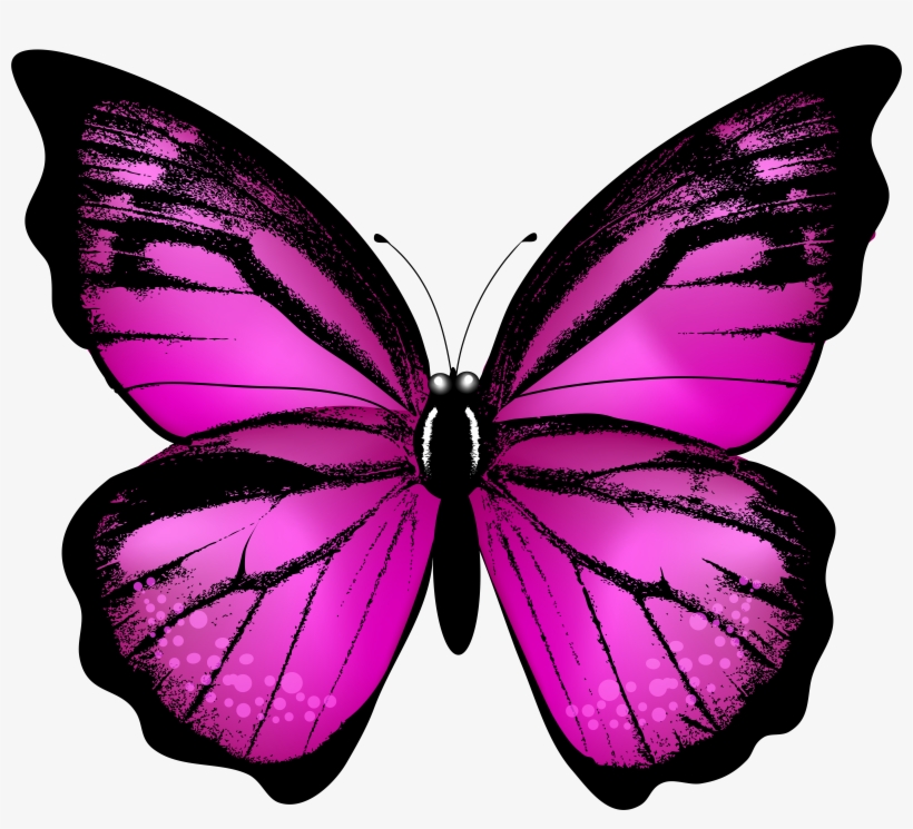 Pink Butterfly Png, transparent png #1639403