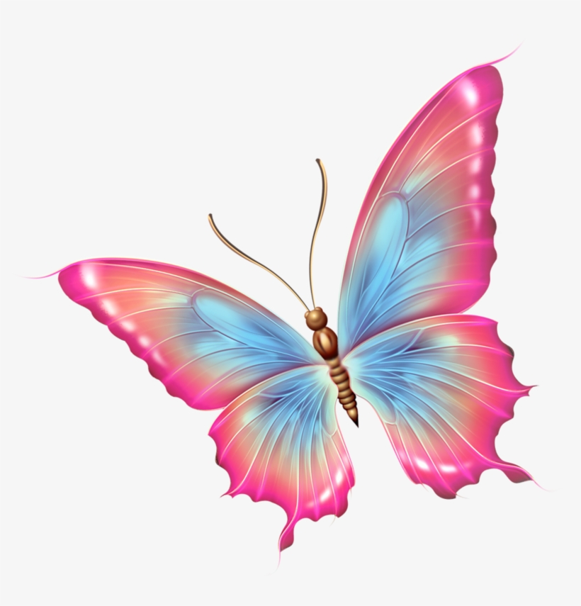 Papillons - Pink And Blue Butterfly Png, transparent png #1639449