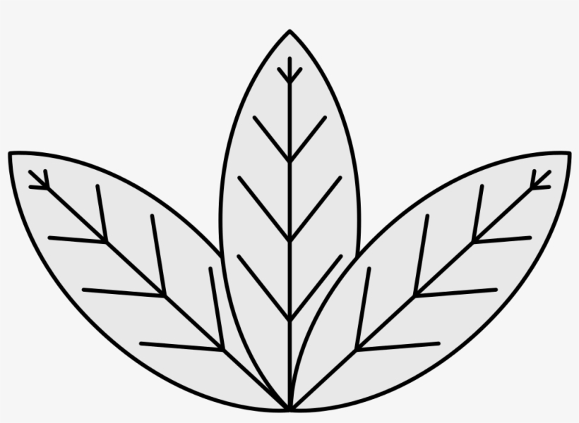 Coa Illustration Elements Plants Tobacco Leaves - Easy To Draw Tobacco Plant, transparent png #1639476