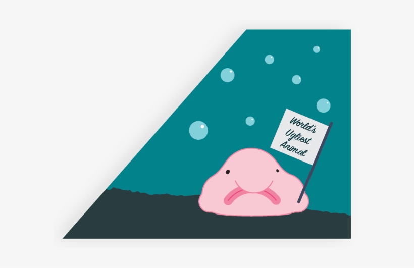 Worldwide Media Coverage Led To The Blobfish Rising, transparent png #1639922