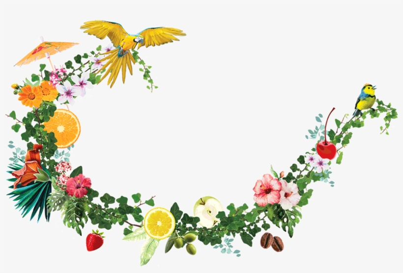 Brisbane, transparent png #1639990