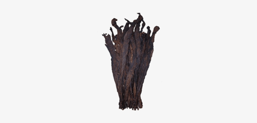 Dark Fire Cured - Dark Fire, transparent png #1640176