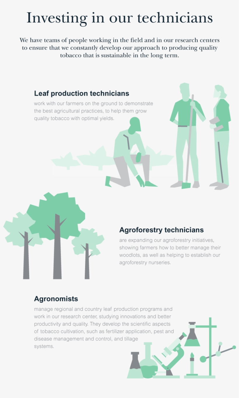 Creating Careers, Not Merely Jobs - Flyer, transparent png #1640224