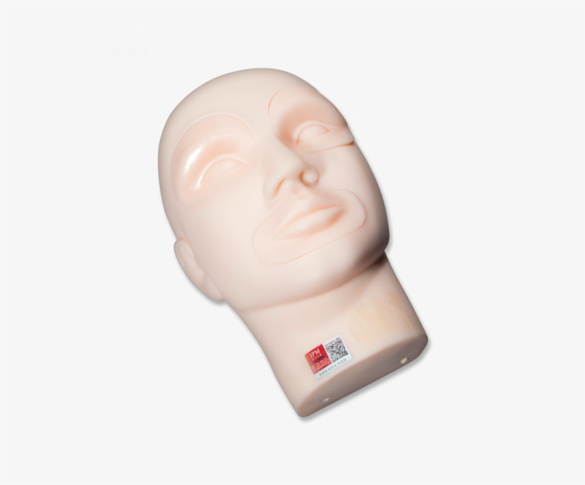 Practice Mannequin Head With Inserts - Head, transparent png #1640503