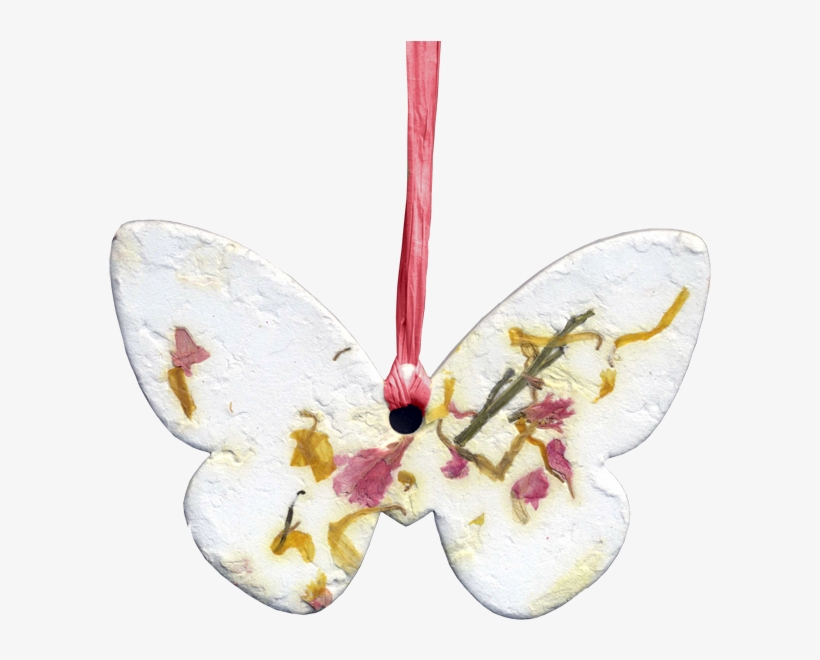 Butterfly Wildflower Me Not Blooming Ornaments - Pieridae, transparent png #1640540