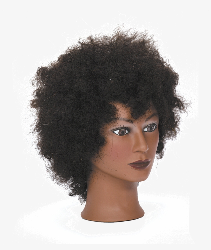 Preço Uniform Tightly Curled Full Head Snap Cap Mannequin, transparent png #1640967
