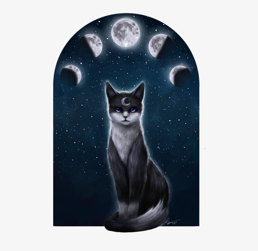 Also I'm Gonna Have To End The Revenge Chain Here Because - Kitten, transparent png #1640990