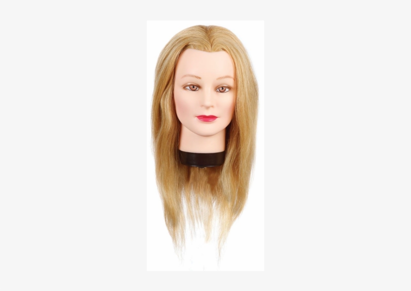 Hairart Cindy Classic Mannequin 18" Blonde - Blonde Mannequin Head, transparent png #1641076