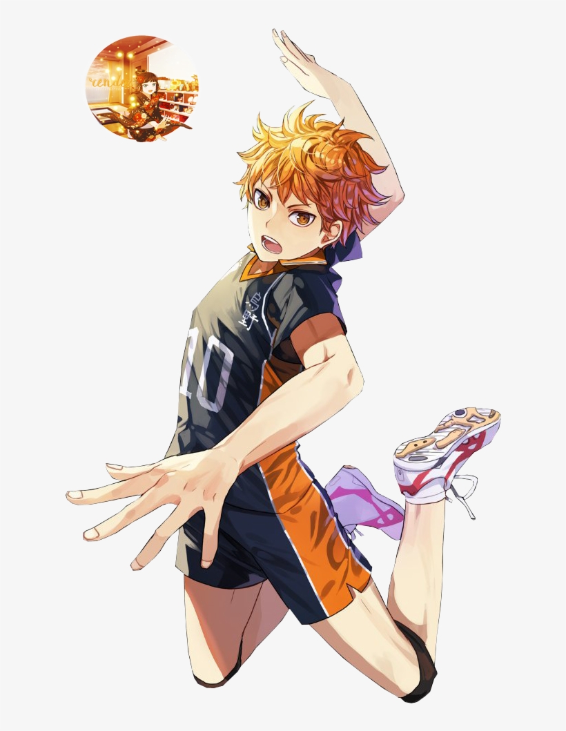 Image Result For Hinata Shouyou Profile Iwaizumi Hajime, - Hinata Shoyo, transparent png #1641501