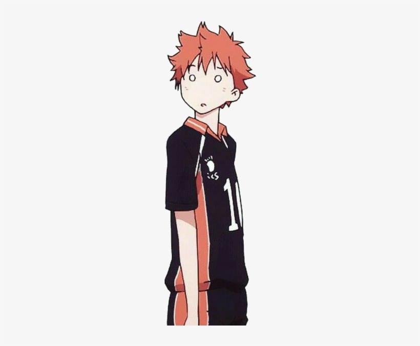 Haikyuu Haikyuu Hinatashouyou - Harry Potter Anime Gif, transparent png #1641643