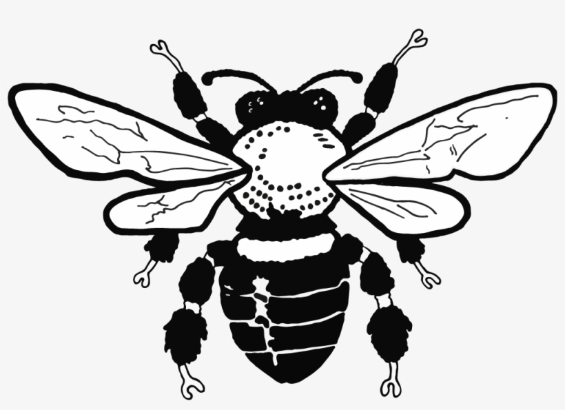 Barth Ny X Snoop Dogg Smoking Series Sock - Beekeeping, transparent png #1641685