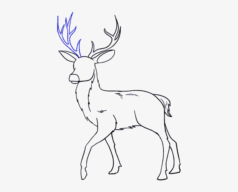 Drawing, transparent png #1642240