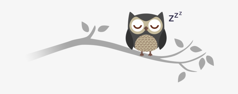 Owl Sleeping On A Branch - Sleeping Owl Clipart, transparent png #1642616