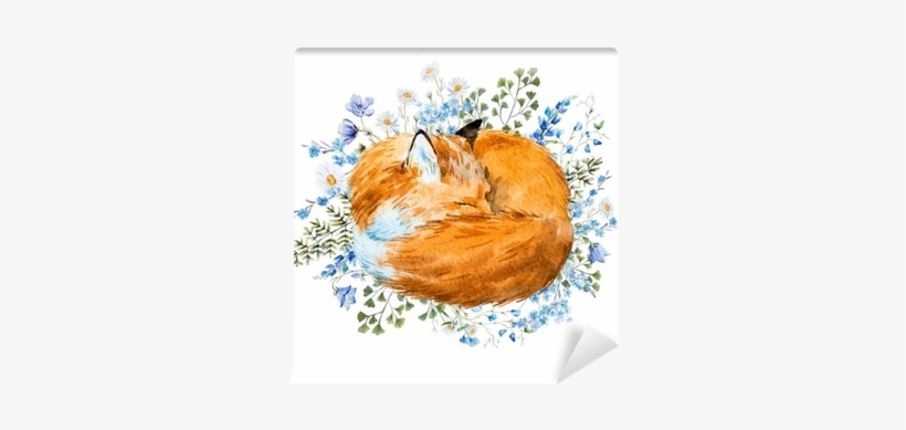 Watercolor Sleeping Fox, transparent png #1642646