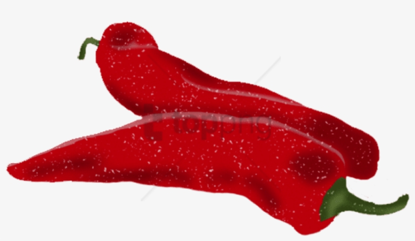 Red Pepper - Bird's Eye Chili, transparent png #1643803