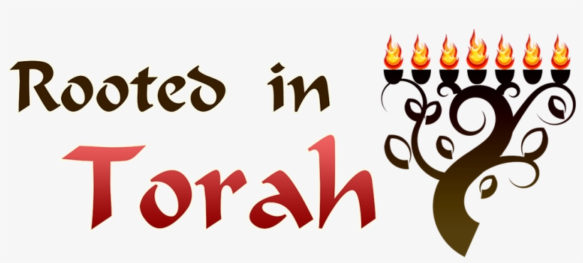 Website Has Changed To Faithofmessiah - Yeshua Torah Teacher, transparent png #1644647