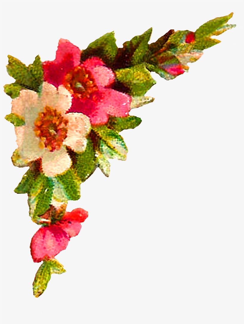 Antique Images Digital Roses - Wazifa For Quick Marriage Proposal, transparent png #1645204