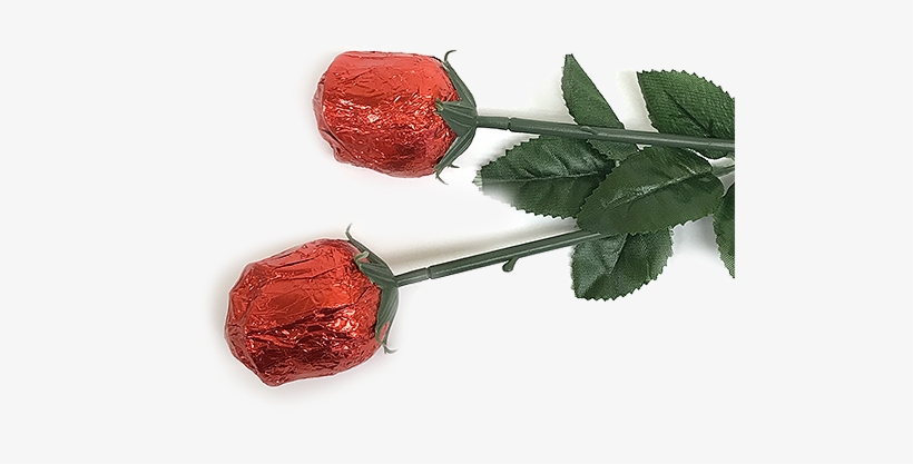 Red Foiled Belgian Chocolate Color Splash Roses For - Belgian Milk Chocolate Roses Png, transparent png #1645584