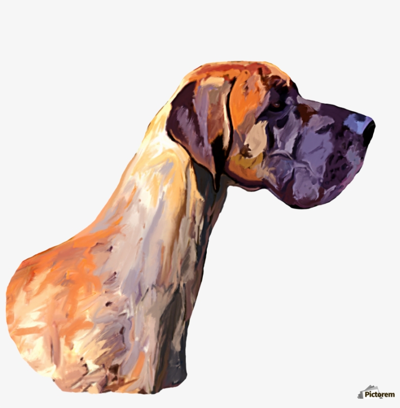 Great Dane Acrylic Print - Art, transparent png #1645715