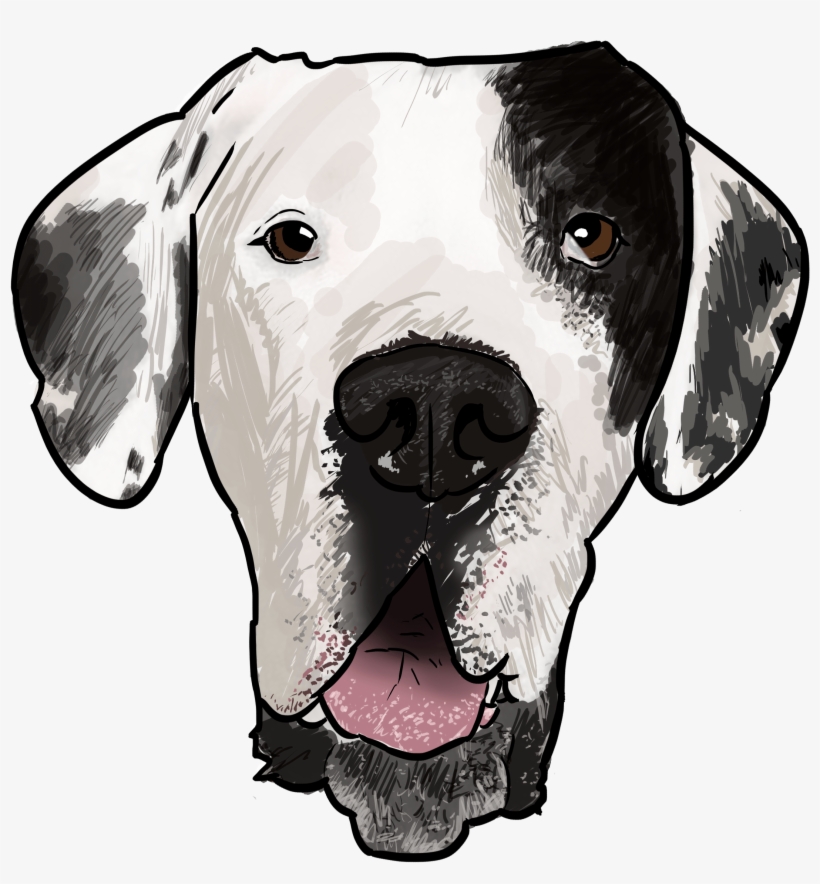 9 Why Are You A Great Dane - Dalmatian, transparent png #1645739