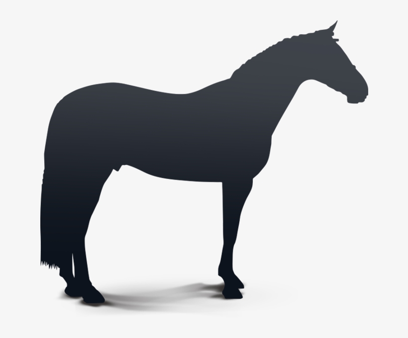 Ratatouille Tms - Small Animal Silhouette, transparent png #1645806