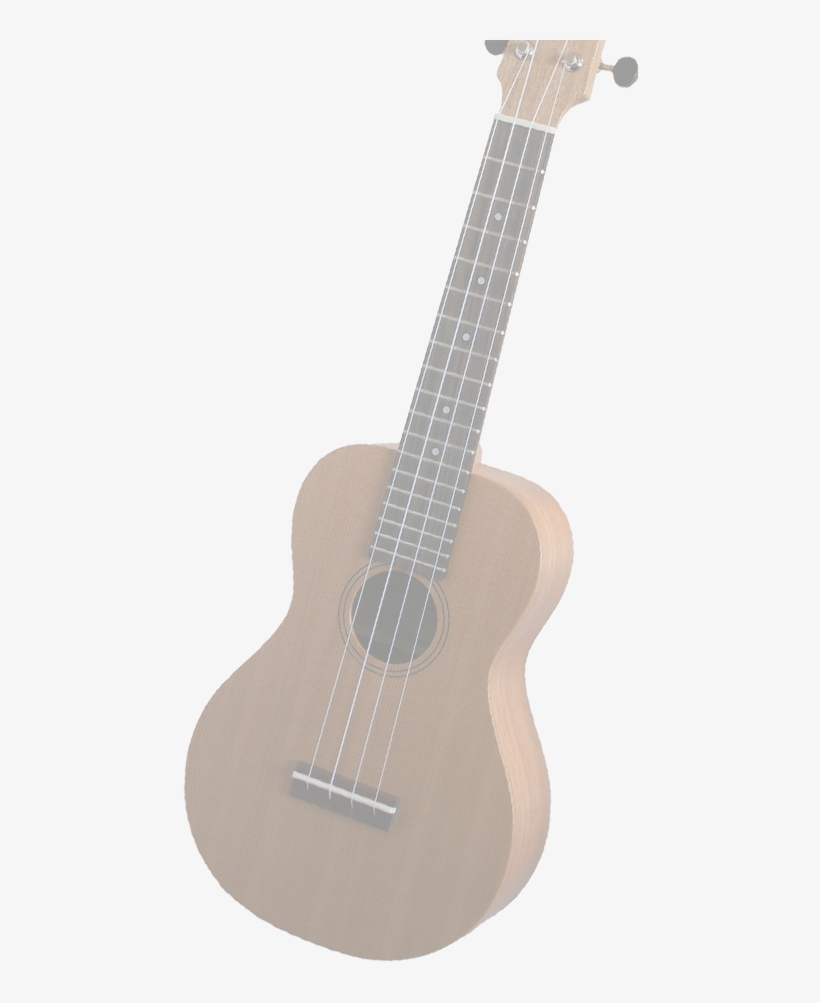 Bg Ukulele Opc - Heerbeeck College, transparent png #1645856