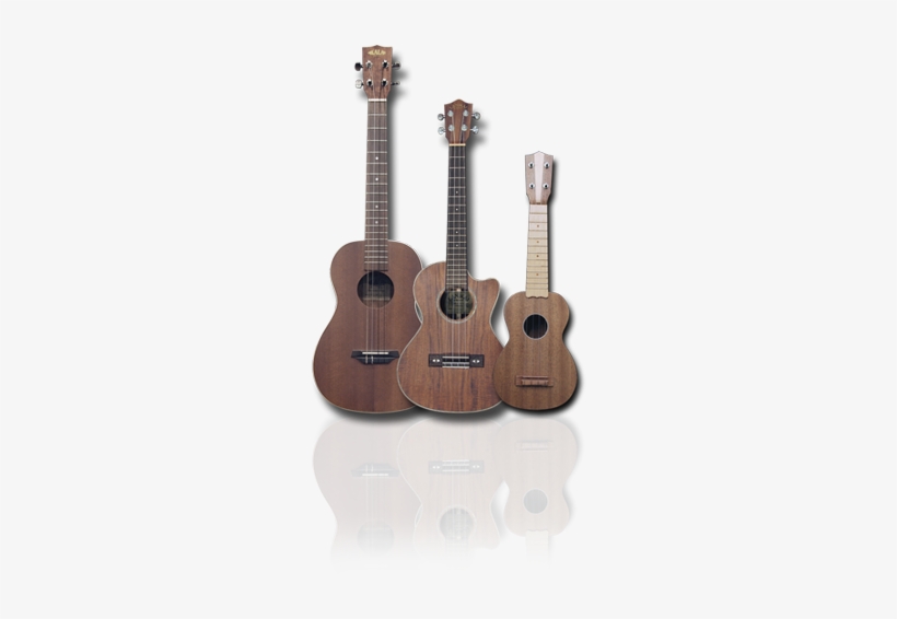 All In All The Ukulele Trio Is An Instrument Set Which - Instrument Ukulele, transparent png #1646035