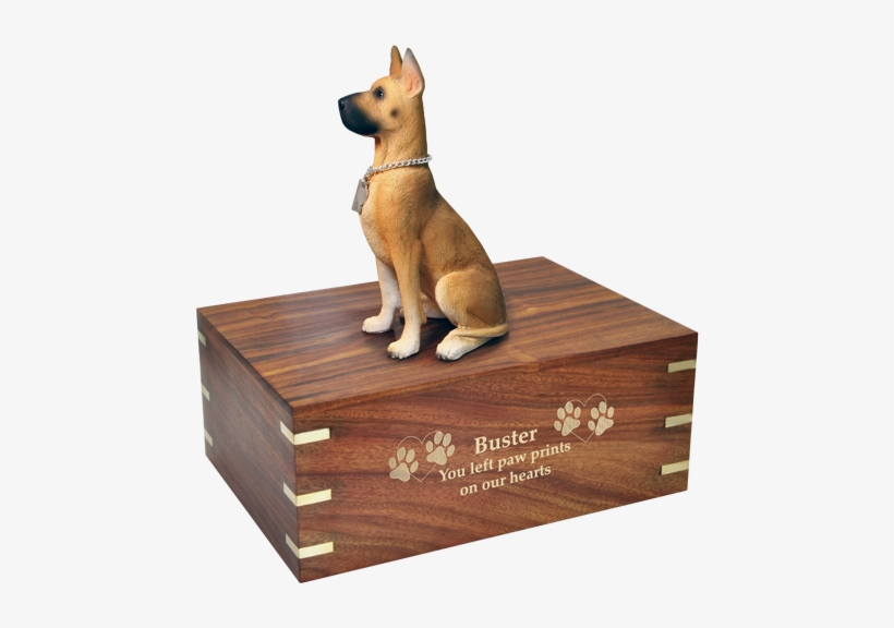 Dog Urn For Great Dane Shown Engraved In Gold - Dog, transparent png #1646223