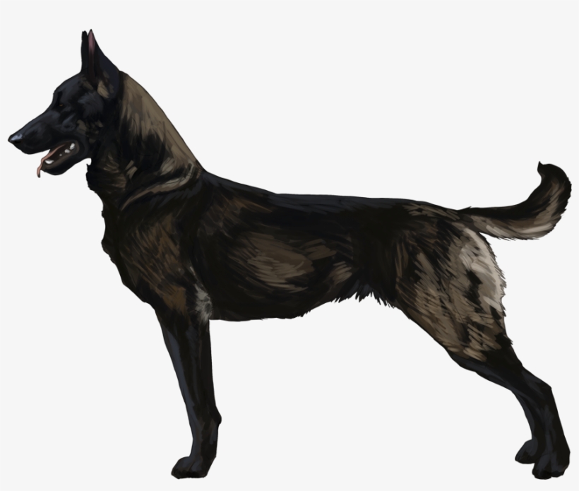 Cutetransparentdogimage - Belgian Malinois Logo, transparent png #1646342