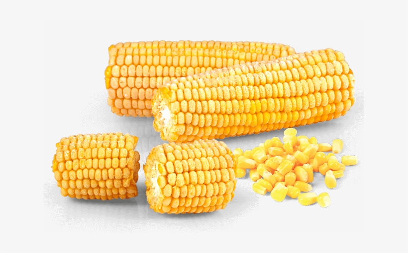 Corn Kernels, transparent png #1646368