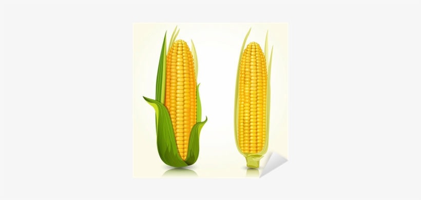 Cultivo Maiz Animado Png - Free Transparent PNG Download - PNGkey Cultivo Maiz Animado Png - Free Transparent PNG Download - PNGkey