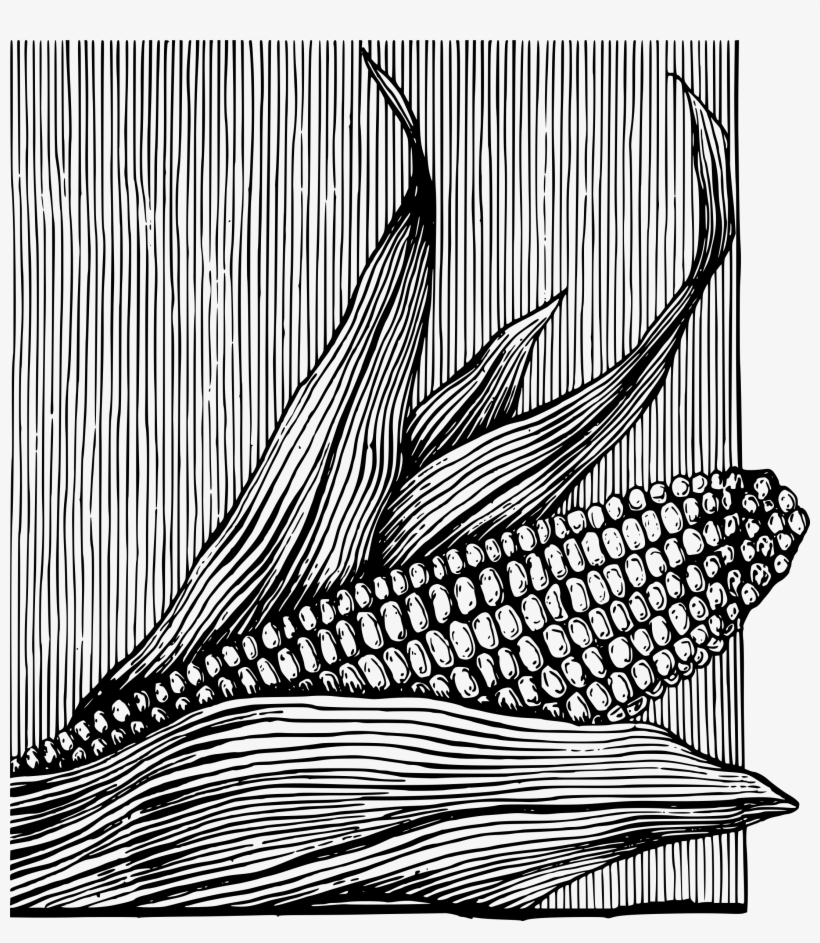 This Free Icons Png Design Of Corn On The Cob, transparent png #1646650