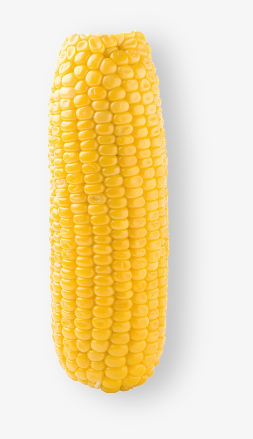 Sweet Corn - Corn Kernels - Free Transparent PNG Download - PNGkey