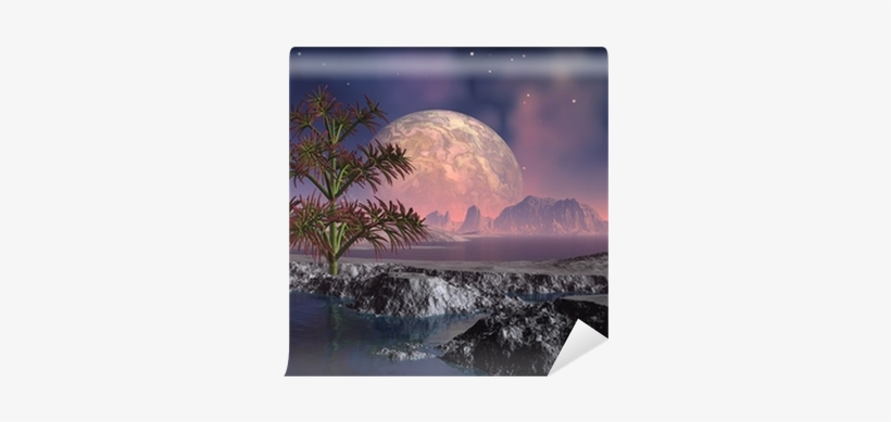 Forest, transparent png #1646817