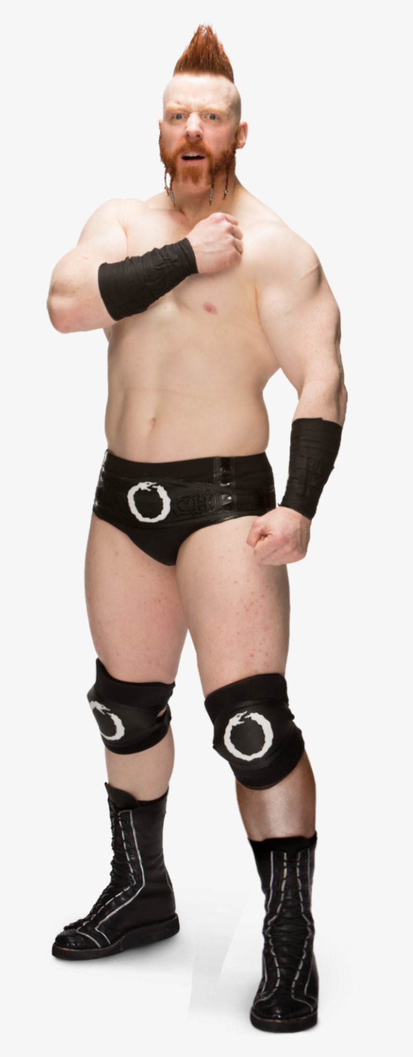 Sheamus Full-78 - Wwe Sheamus 2016 Png, transparent png #1647086