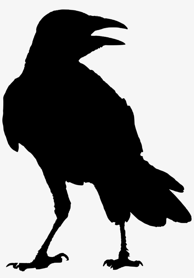Svg Transparent Download Crow Clipart Raven Silhouette - Silhouette Of A Raven, transparent png #1647718