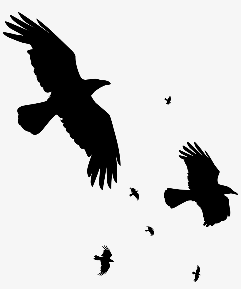 Crow Svg Flying - Crow Silhouette, transparent png #1647792