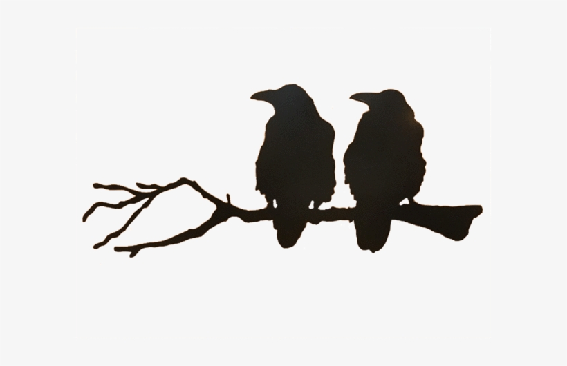 Raven On A Branch, transparent png #1648018