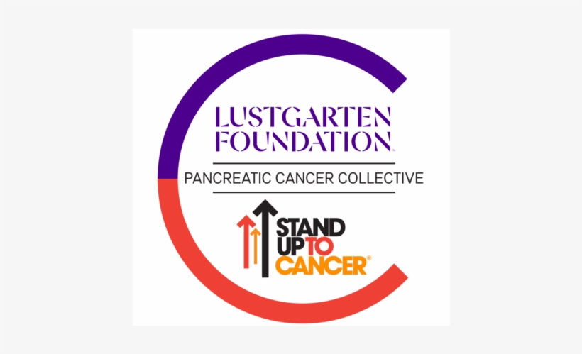 Announcing The Pancreatic Cancer Collective - Stand Up To Cancer, transparent png #1648085