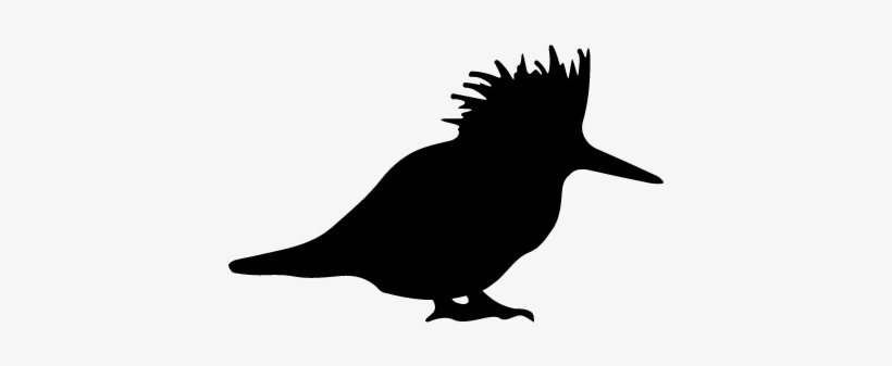Bird Silhouette Vector - Vogel Silhouette, transparent png #1648089