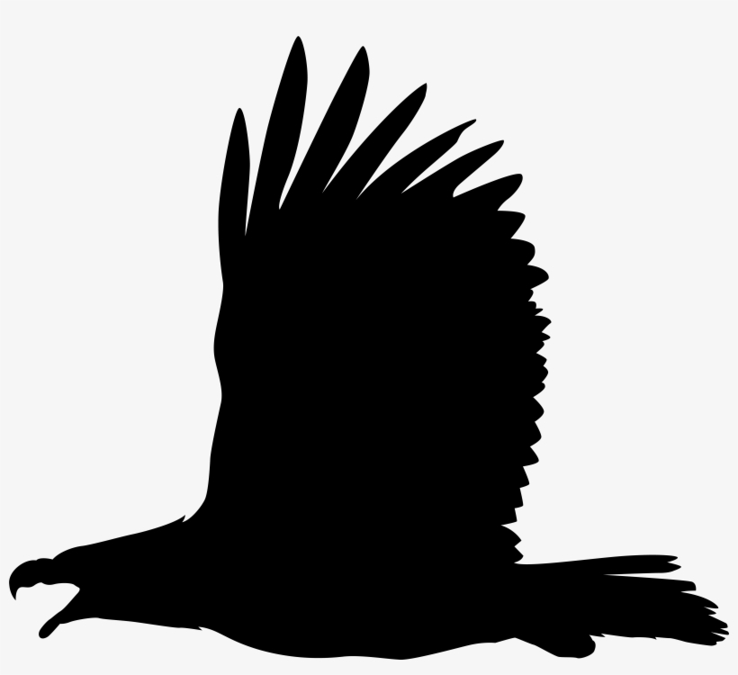 Eagle Silhouette Png Clip Art Image, transparent png #1648258