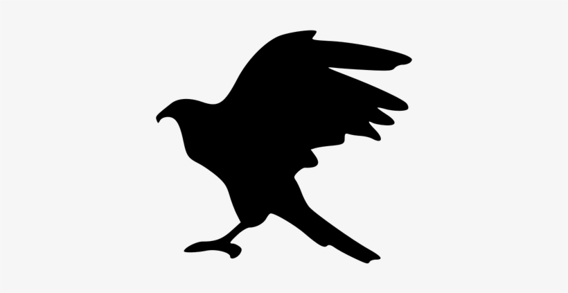 Eagle Silhouette Clip Art Public Domain Vectors - Public Domain Free Raven Vector, transparent png #1648300