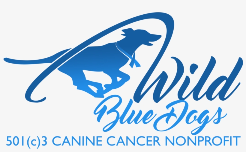 501 3 Logo - Tinkling Of The Bell Before It Rings, transparent png #1648433