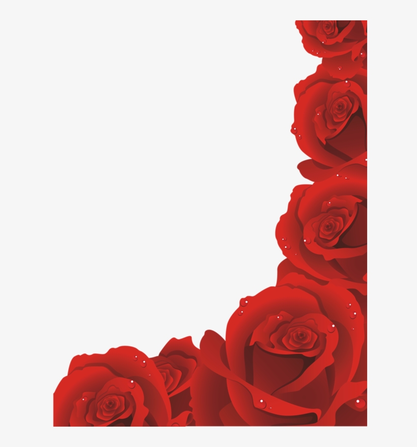 Page 81 Red Rose Png, Red Rose Petals, Red Roses, - Free Red Rose Border, transparent png #1649400