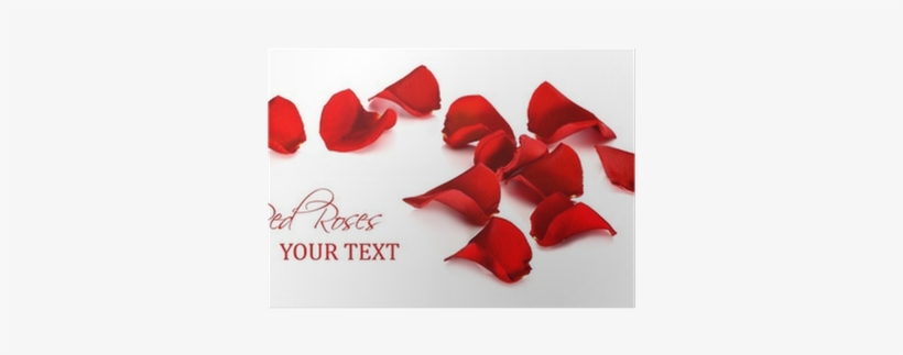 Real Rose Petals Png, transparent png #1649597