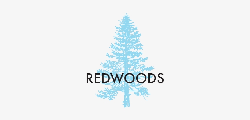 Redwoodtree Engraved - Christmas Tree, transparent png #1649836