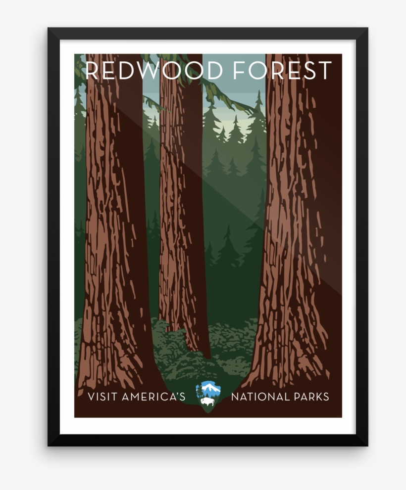 Redwood Forest Print - Yellowstone National Park, transparent png #1649952