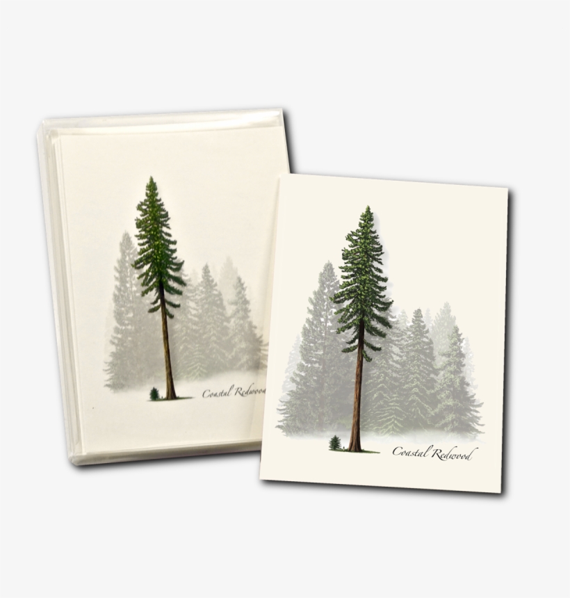 Shopping Cart -  - , transparent png #1650072