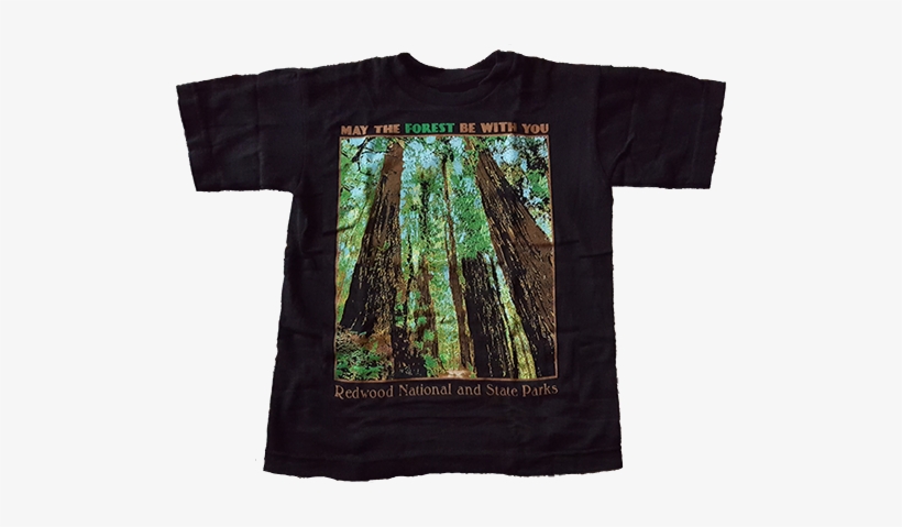 Redwood National And State Parks "may The Forest Be - Redwood Forest T Shirts, transparent png #1650133